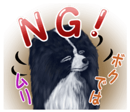 Pomeranian Love sticker #9169958