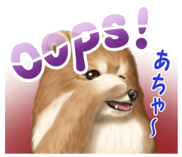 Pomeranian Love sticker #9169959