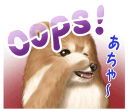 Pomeranian Love sticker #9169959