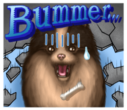 Pomeranian Love sticker #9169960