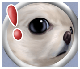 Pomeranian Love sticker #9169962