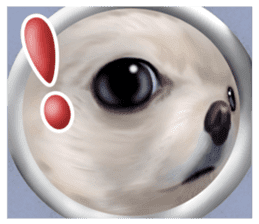 Pomeranian Love sticker #9169962