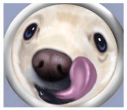 Pomeranian Love sticker #9169963