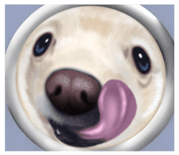 Pomeranian Love sticker #9169963