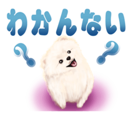Pomeranian Love sticker #9169964