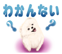 Pomeranian Love sticker #9169964