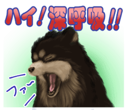 Pomeranian Love sticker #9169965