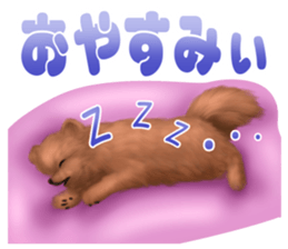 Pomeranian Love sticker #9169966