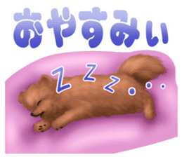 Pomeranian Love sticker #9169966