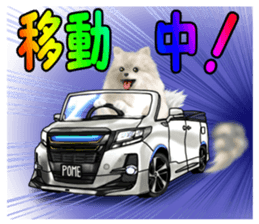 Pomeranian Love sticker #9169968