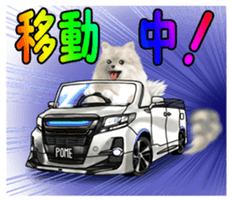 Pomeranian Love sticker #9169968