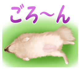 Pomeranian Love sticker #9169969
