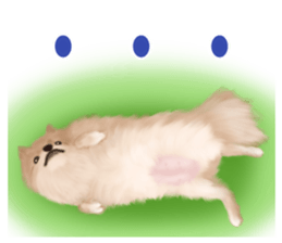 Pomeranian Love sticker #9169970