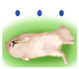 Pomeranian Love sticker #9169970