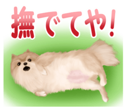 Pomeranian Love sticker #9169971