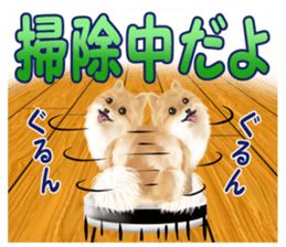 Pomeranian Love sticker #9169972