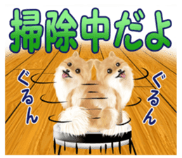 Pomeranian Love sticker #9169972