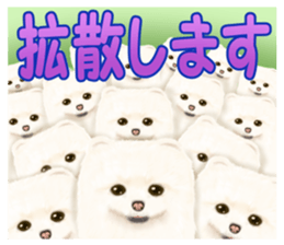 Pomeranian Love sticker #9169974