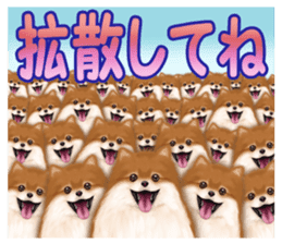 Pomeranian Love sticker #9169975