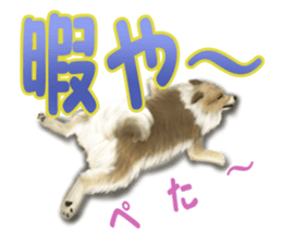 Pomeranian Love sticker #9169976