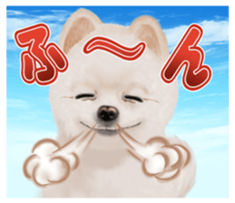 Pomeranian Love sticker #9169978