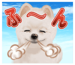 Pomeranian Love sticker #9169978
