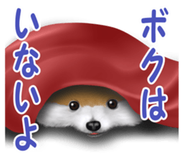 Pomeranian Love sticker #9169979