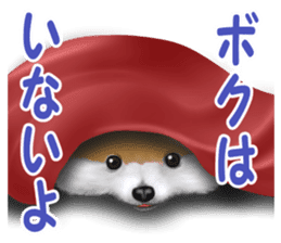 Pomeranian Love sticker #9169979