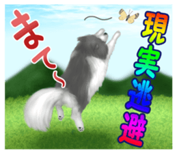 Pomeranian Love sticker #9169983