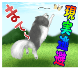 Pomeranian Love sticker #9169983