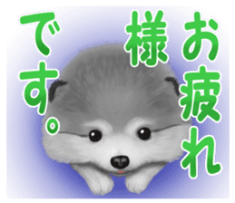 Pomeranian Love sticker #9169984