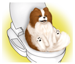 Pomeranian Love sticker #9169988