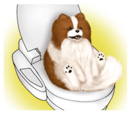 Pomeranian Love sticker #9169988