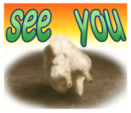 Pomeranian Love sticker #9169989