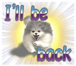 Pomeranian Love sticker #9169990