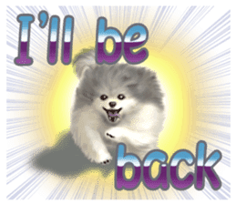 Pomeranian Love sticker #9169990