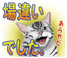 Pomeranian Love sticker #9169991