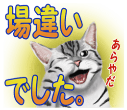 Pomeranian Love sticker #9169991