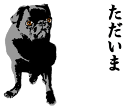 black pug Stickers 3 sticker #9171036