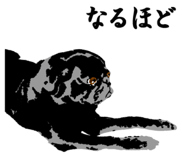 black pug Stickers 3 sticker #9171039