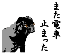 black pug Stickers 3 sticker #9171040