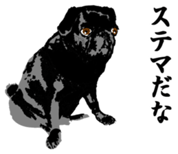 black pug Stickers 3 sticker #9171041