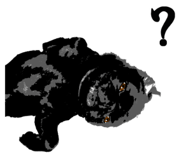 black pug Stickers 3 sticker #9171042