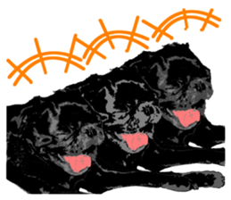 black pug Stickers 3 sticker #9171043