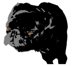 black pug Stickers 3 sticker #9171045