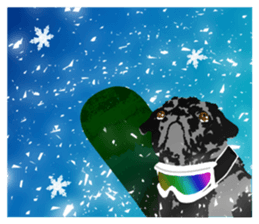 black pug Stickers 3 sticker #9171051