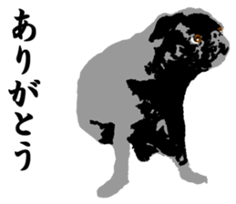 black pug Stickers 3 sticker #9171053