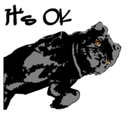 black pug Stickers 3 sticker #9171054