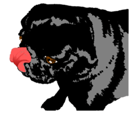 black pug Stickers 3 sticker #9171059