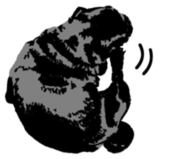 black pug Stickers 3 sticker #9171062